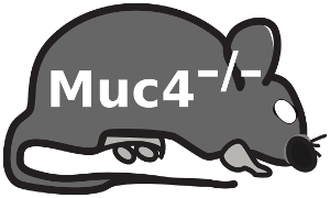 Muc4-KO
