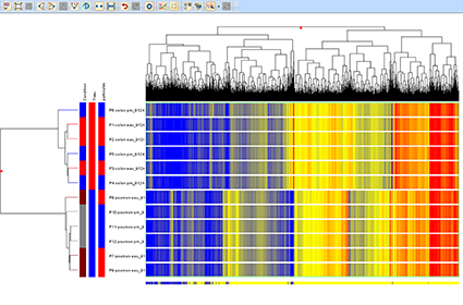 Diagramme